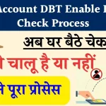 Bank Account DBT Enable Disable Check Process: बैंक खाते में डीबीटी चालू है या नहीं, यहां से चेक करें