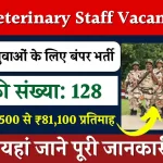 ITBP Veterinary Staff Vacancy: ITBP वेटरनरी स्टाफ 10वीं पास भर्ती का नोटिफिकेशन जारी, लास्ट डेट से पहले करें अप्लाई