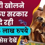 Dairy Business Subsidy Yojana: डेयरी खोलने के लिए मिल रहे 31.25 लाख रुपये, इस तरीके से उठाएं फायदा, पूरा प्रोसेस देखें