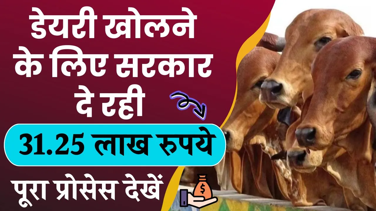 Dairy Business Subsidy Yojana: डेयरी खोलने के लिए मिल रहे 31.25 लाख रुपये, इस तरीके से उठाएं फायदा, पूरा प्रोसेस देखें