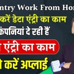 Data Entry Work From Home Job: इन जगहों पर मिला रहा है ऑनलाइन डाटा एंट्री वर्क, घर बैठे अप्लाई का प्रोसेस जानिए