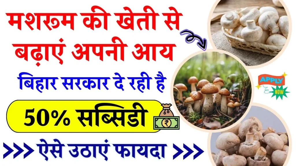 Mushroom Farming Subsidy Scheme: बिना खेत मुनाफे वाली खेती! सरकार भी देगी ₹10 लाख की मदद, ऐसे उठाएं फायदा