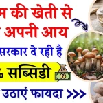 Mushroom Farming Subsidy Scheme: बिना खेत मुनाफे वाली खेती! सरकार भी देगी ₹10 लाख की मदद, ऐसे उठाएं फायदा