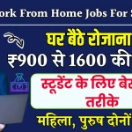 Top 8 Work From Home Jobs For Students: छात्र रोजाना ₹900 से 1600 घर बैठे कमाए