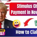 $1,600 Stimulus Check Payment in November 2024