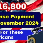 $16,800 Expense Payment Aid Only For These Americans In November 2024