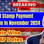 Food Stamp Payment Schedule In November 2024 – State Wise SNAP Dates- Payment Amount