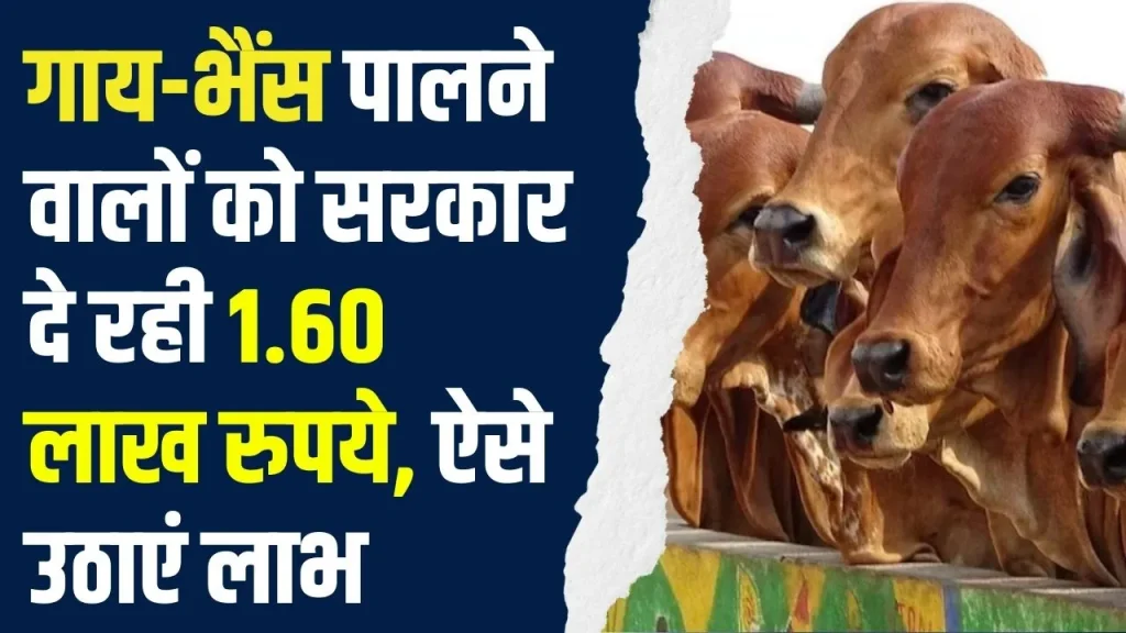 Loan Yojana : गाय-भैंस पालने वालों को सरकार दे रही 1.60 लाख रुपये, जाने कैसे उठाए आप भी लाभ