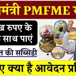 PMFME Scheme: आटा मिल से लेकर नमकीन बनाने जैसे फूड बिजनेस के लिए सरकार देगी 10 लाख रुपये तक अनुदान, जानिए...