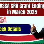 SASSA SRD Grant Ending in March 2025 - You Should know this to get the benefit