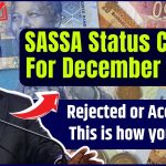 SASSA Status Check For December 2024, Your grant application is rejected or accepted? This is how you check