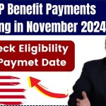 SNAP Benefit Payments Coming in November 2024