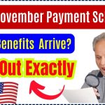 SNAP November Payment Schedule