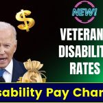 VA Disability Pay Chart November 2024- Veterans Disability Compensation Rates