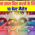 New Year 2025 Wishes: परफेक्ट हैं ये 10 मैसेज नया साल विश करने के लिए, ऐसे कहें हैप्पी न्यू ईयर