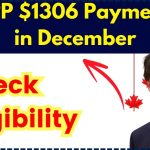 CPP $1306 Payment in December, Check Pension Eligibility and Essential Dates