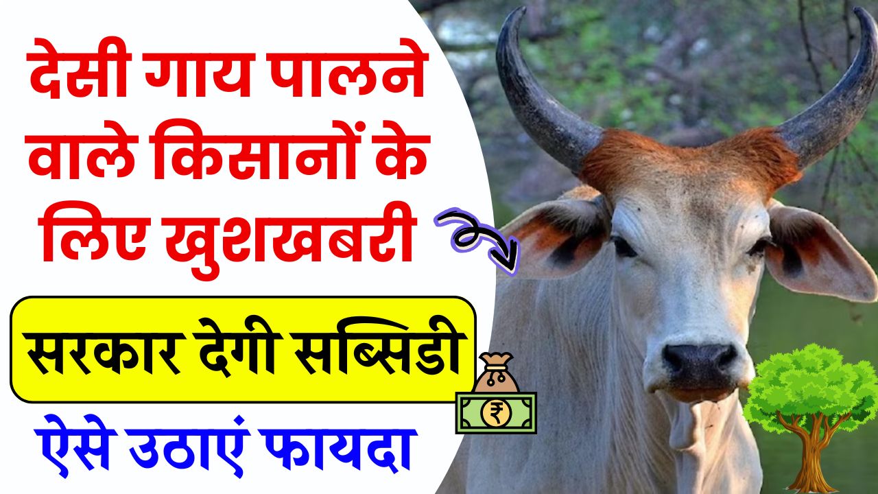 देसी गाय पालने वाले किसानों के लिए खुशखबरी! सरकार देगी सब्सिडी, Cow Subsidy Scheme