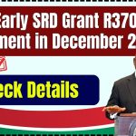 Early SRD Grant R370 Payment in December 2024, A Festive Initiative by SASSA