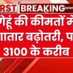 Mandi Bhav: गेहूं के भाव ने फिर लगाई ऊंची छलांग, गेहूं का भाव पहुंचा 3100 रूपये के पास