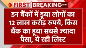 इन बैंकों में डूबा लोगों का 12 लाख करोड़ रुपये, किस बैंक का डूबा सबसे ज्‍यादा पैसा, ये रही लिस्ट