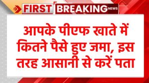 आपके PF खाते में अब तक कितने पैसे हुए हैं जमा, इस तरह कर सकते हैं आसानी से पता