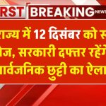 Public Holiday: इस राज्य में 12 दिसंबर को सार्वजनिक छुट्टी का ऐलान, स्कूल-कॉलेज, सरकारी दफ्तर रहेंगे बंद