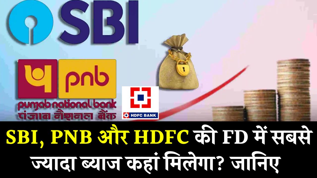 SBI Vs PNB Vs HDFC: 2025 में FD कराने पर कौन देगा ज्यादा रिटर्न? जानें एक्सपर्ट की राय