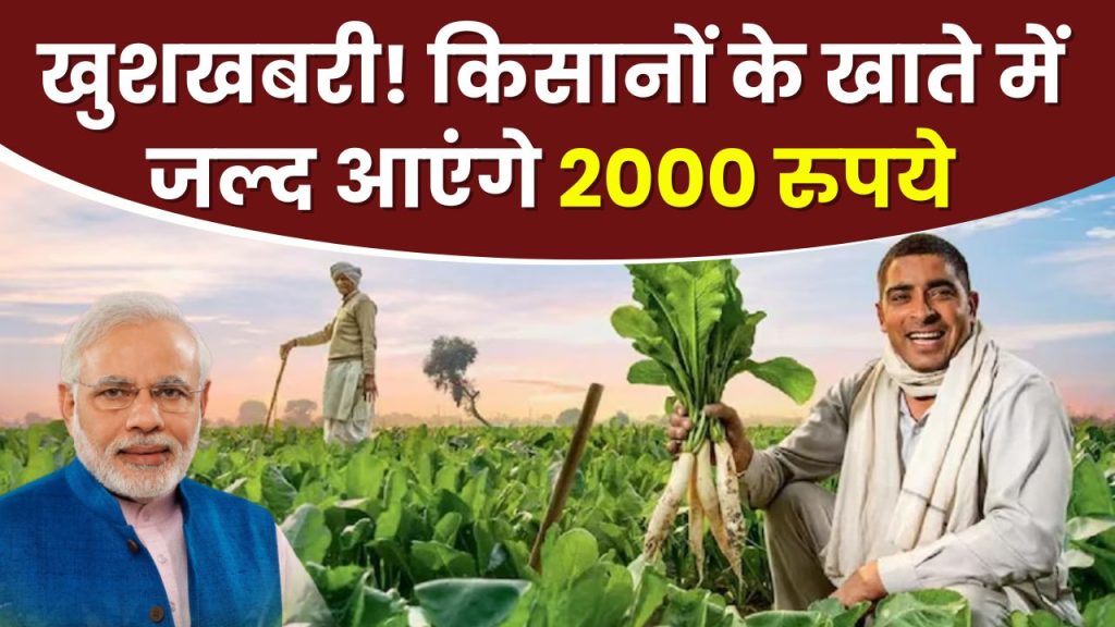 PM Kisan Yojana: 28 फरवरी को जारी हो सकती है 19वीं किस्त, किस्त पाने के लिए किसान करवाएं ये काम