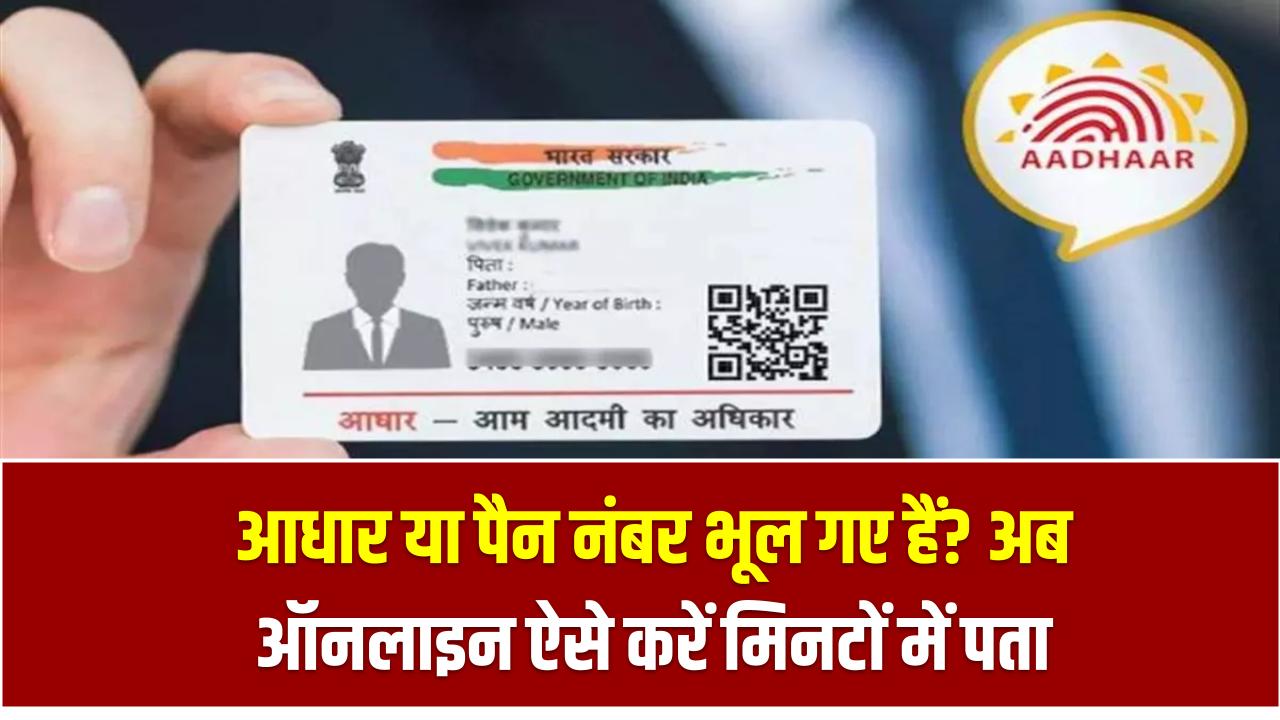 आधार या पैन नंबर भूल गए हैं? अब ऑनलाइन ऐसे करें मिनटों में पता