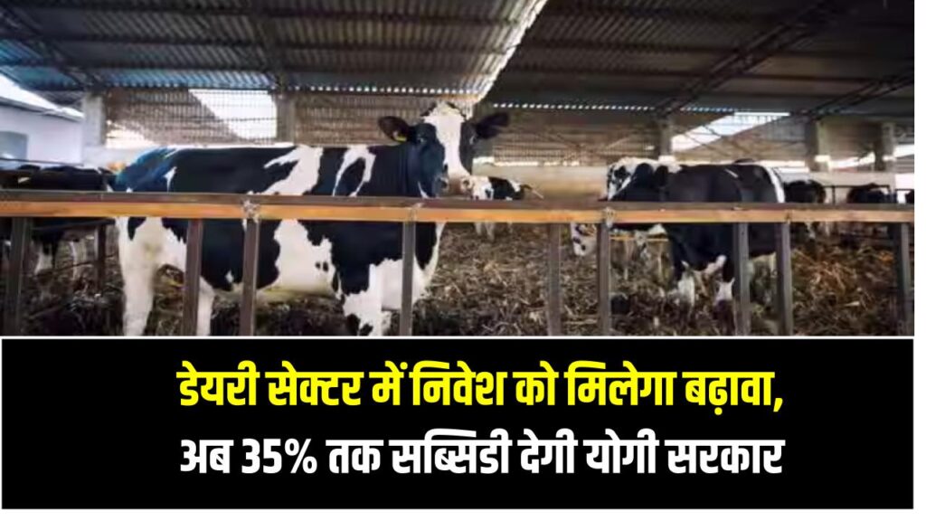 UP: डेयरी सेक्टर में निवेश को मिलेगा बढ़ावा, अब 35% तक सब्सिडी देगी योगी सरकार