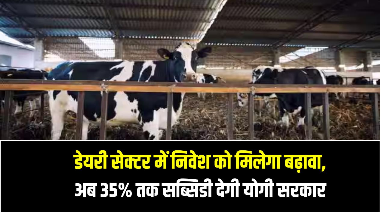 UP: डेयरी सेक्टर में निवेश को मिलेगा बढ़ावा, अब 35% तक सब्सिडी देगी योगी सरकार