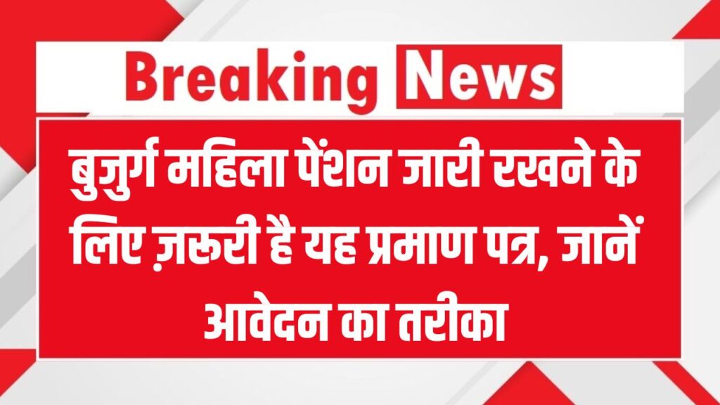 बुजुर्ग महिलाओं की पेंशन रोक रहा है सिर्फ एक डॉक्युमेंट! जानिए जीवन प्रमाण पत्र बनवाने का तरीका