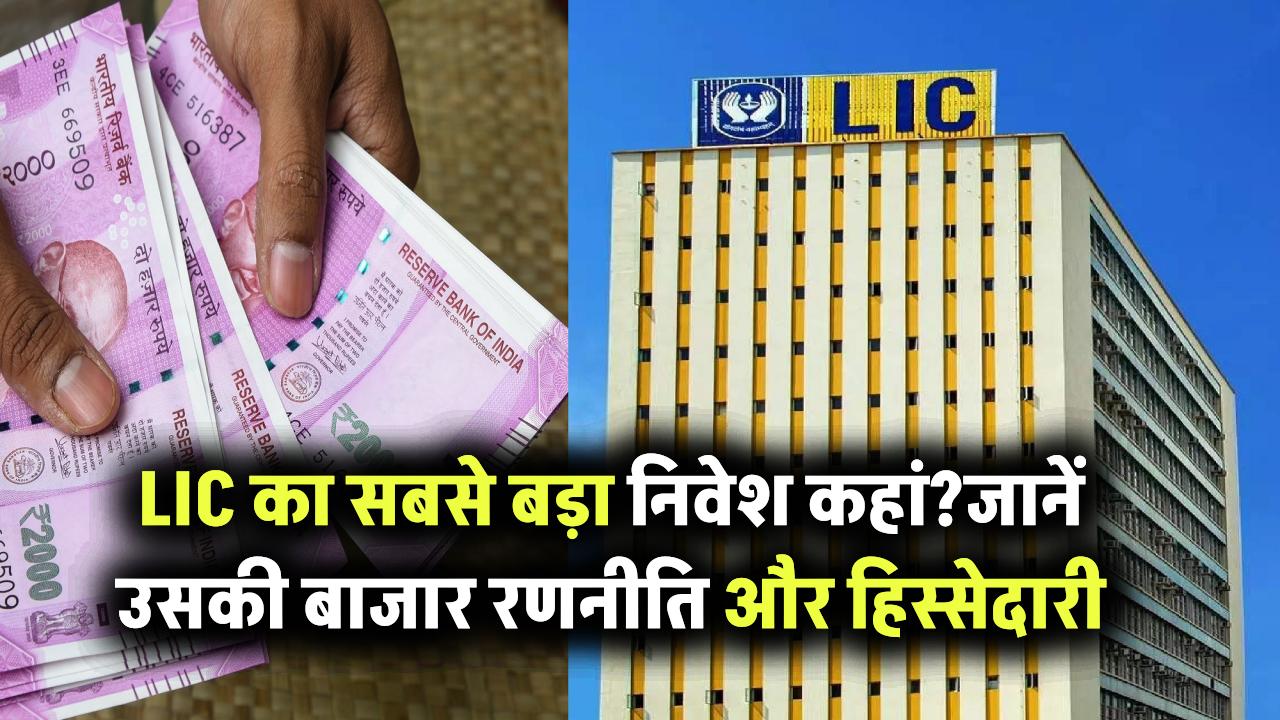 LIC ने कहां किया सबसे ज्यादा निवेश? जानिए शेयर बाजार में कंपनी की रणनीति और हिस्सेदारी