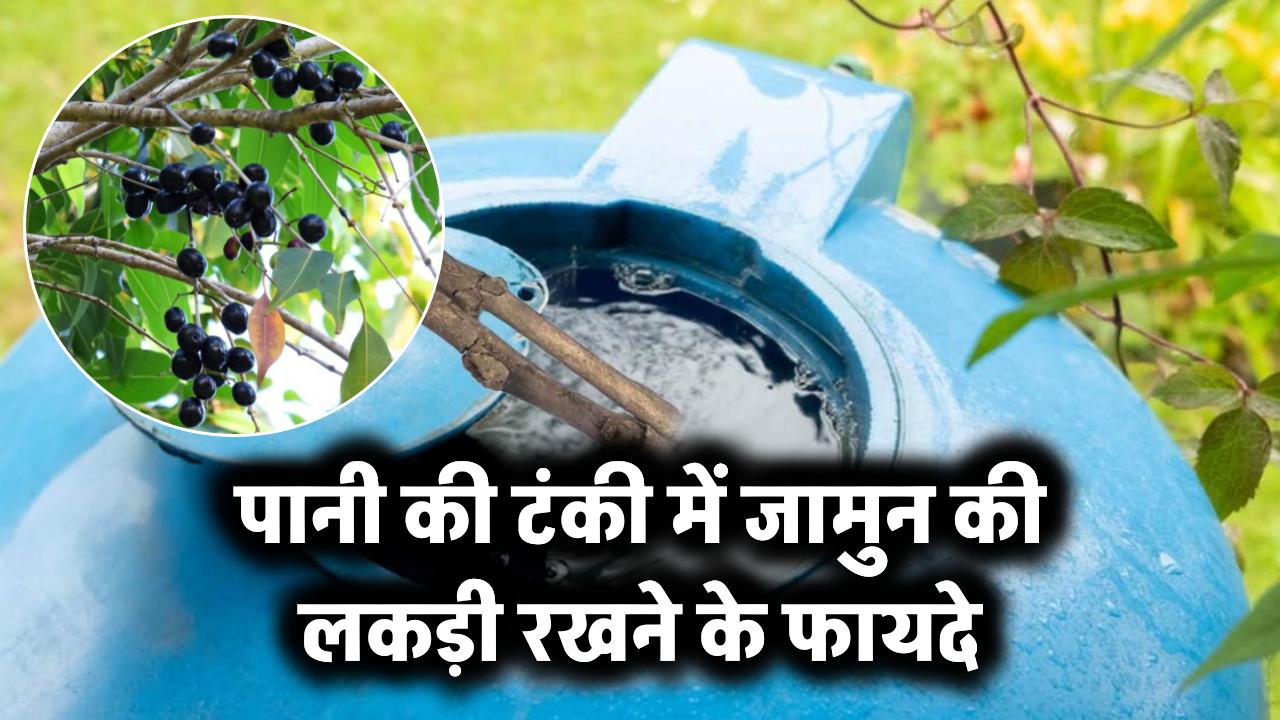 पानी की टंकी में जामुन की लकड़ी रखने के फायदे