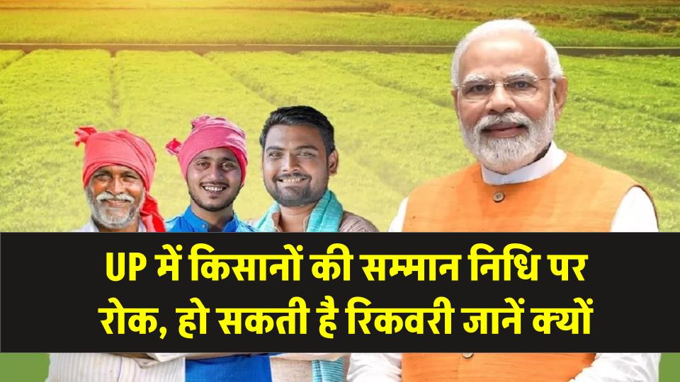 UP में किसानों की सम्मान निधि पर रोक, अपात्र श्रेणी में डाले गए लोग, हो सकती है रिकवरी!